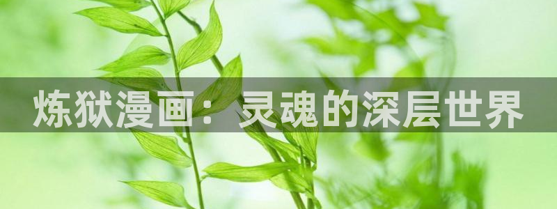 贝勒漫画为什么打不开