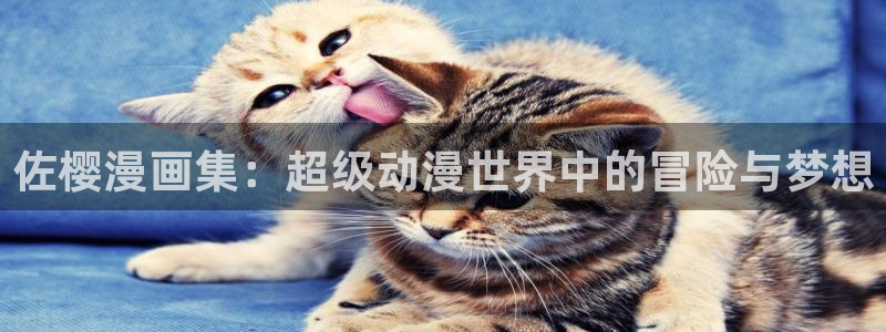 贝勒漫画_分类