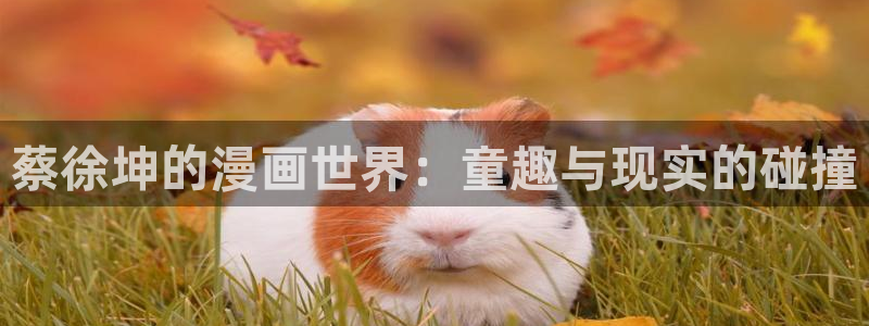 贝勒漫画个人登陆入口：蔡徐坤的漫画世界：童趣与现实的碰撞