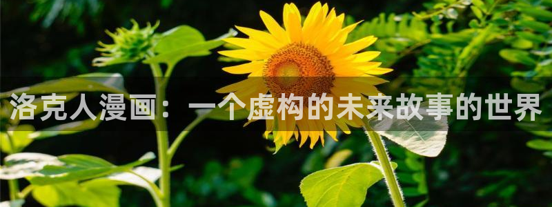 贝勒漫画登录页面入口：洛克人漫画：一个虚构的未来故事的世界