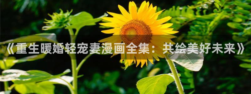 全部漫画(贝勒漫画)更新时间：《重生暖婚轻宠妻漫画全集：共绘美好未来》