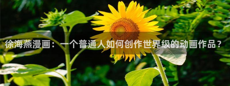 要结婚的男人贝勒漫画：徐海燕漫画：一个普通人如何创作世界级的动画作品？
