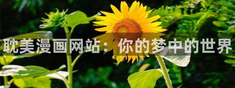 贝勒漫画官方入口韩漫：耽美漫画网站：你的梦中的世界