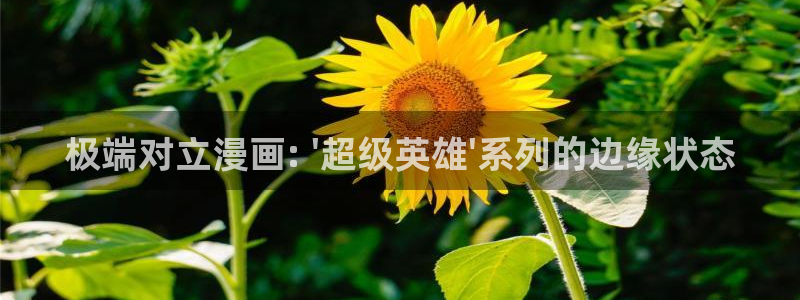 贝勒漫画水边之夜：极端对立漫画: \'超级英雄\'系列的边缘状态