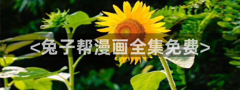 abo漫画贝勒漫画